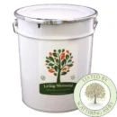 Memorial Tree to Plant – Copper Beech