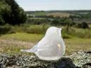Memorial Glass Dove